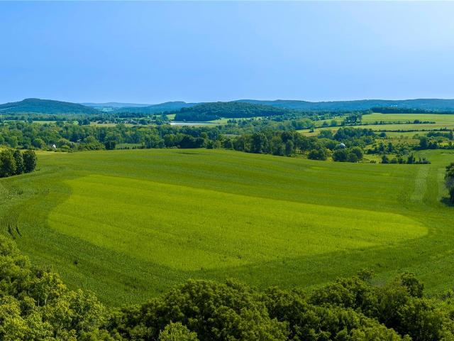 Land for sale in Amenia, New York