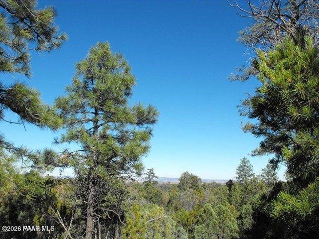 Land for sale in Happy Jack, Arizona