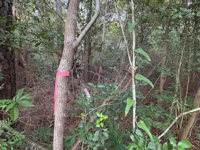 Land for sale in Calabash, Brunswick County