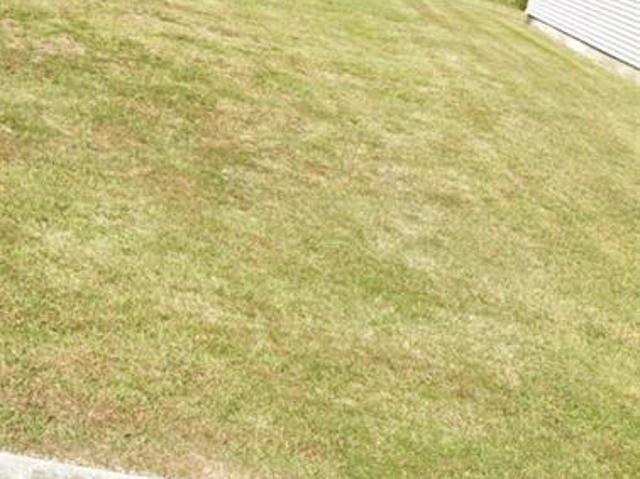 Land for sale in Louisiana