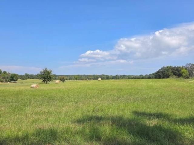 Land for sale in Guntown, Mississippi