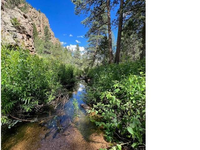 Land for sale in Livermore, Colorado