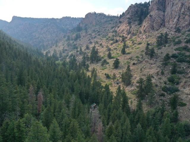 Land for sale in Colorado