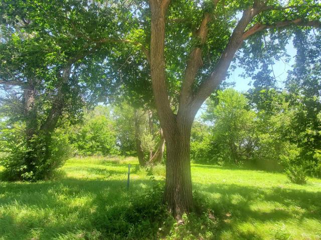 Land for sale in Kansas