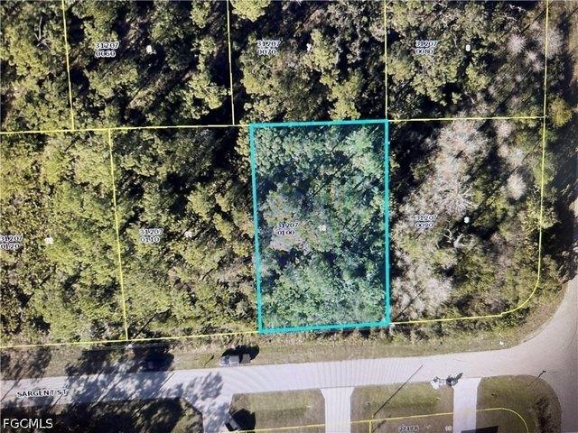 Land for sale in Lehigh Acres, Florida