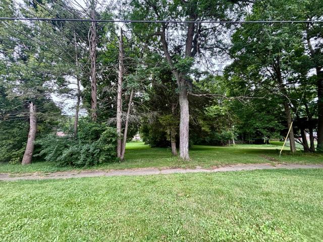 Land for sale in Belvidere, Boone County