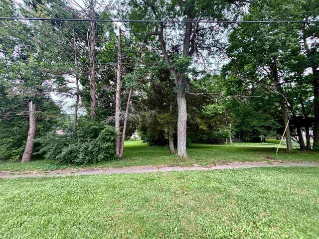 Land for sale in Belvidere, Boone County