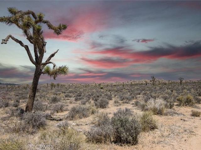 Land for sale in Pioneertown, California