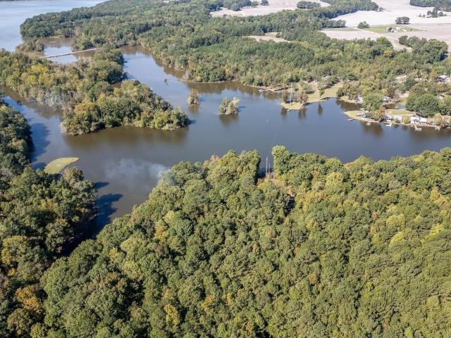 Land for sale in Cedar Bluff, Alabama