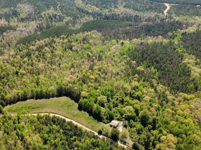 Land for sale in Muscadine, Alabama