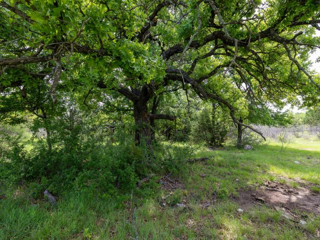 Land for sale in Zephyr, Texas