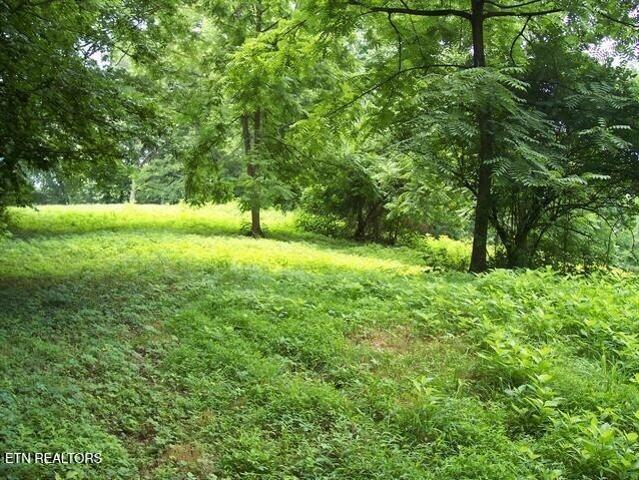 Land for sale in Tennessee