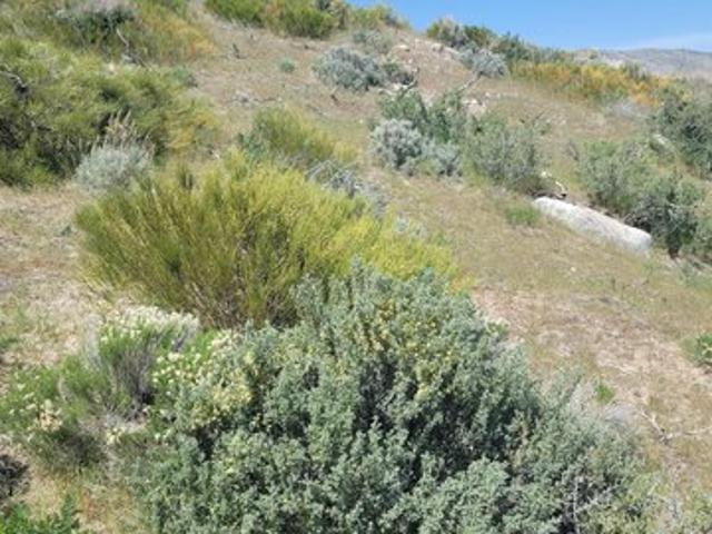 Land for sale in Reno, Washoe County
