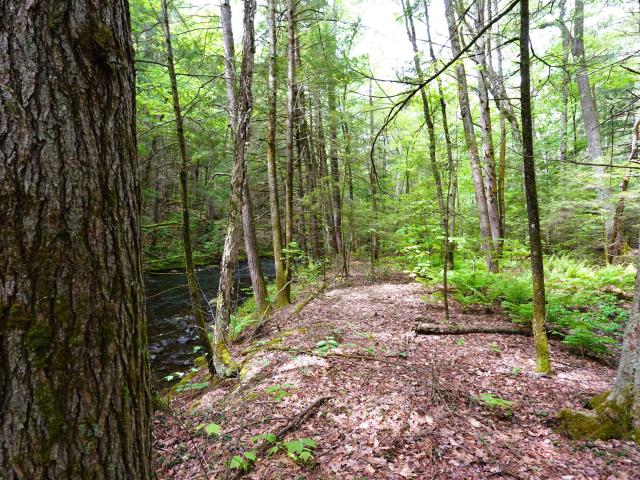 Land for sale in New Hampshire