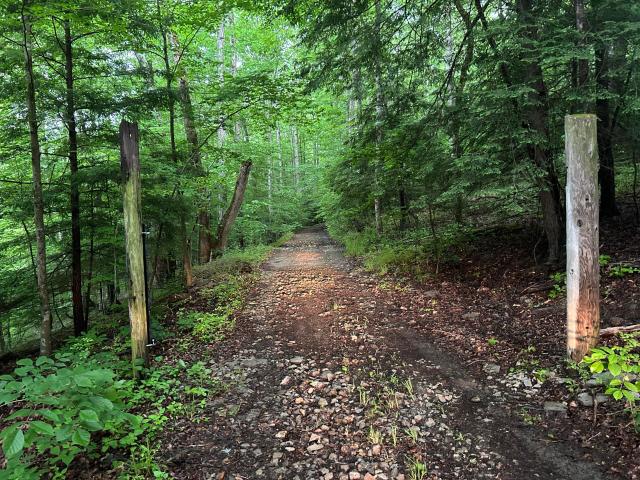Land for sale in Vanceburg, Lewis County