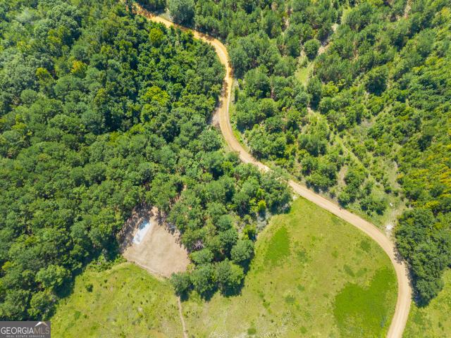 Land for sale in Sylvania, Screven County