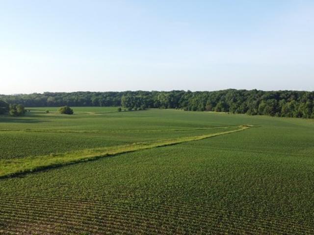 Farm for sale in Woodford, Illinois