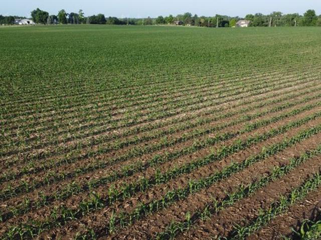 Farm for sale in Woodford, Illinois