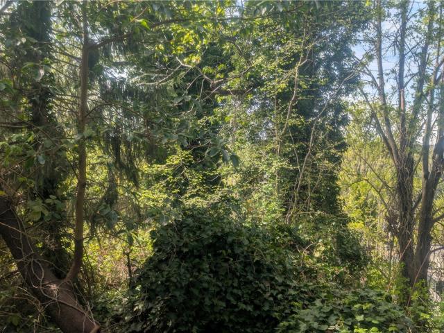 Land for sale in Delridge, Seattle