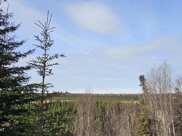 Land for sale in Kasilof