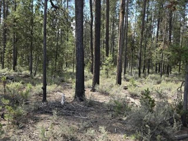 Land for sale in Oregonia