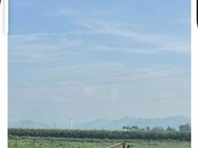 Land for sale in Reedley, California