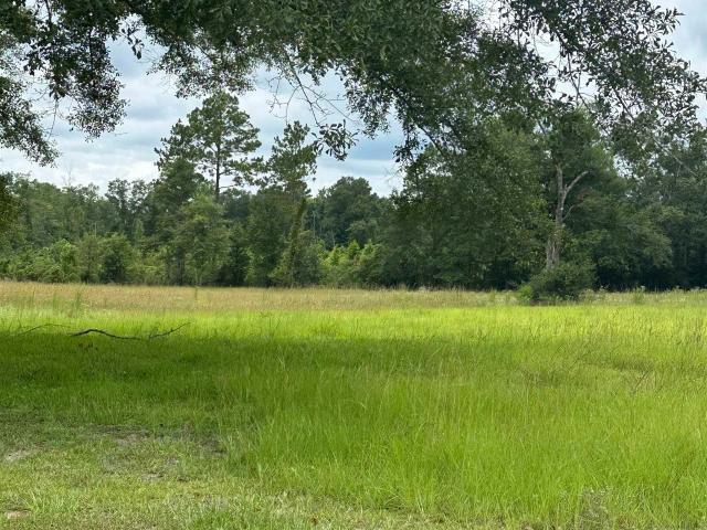 House for sale in Perdido, Alabama