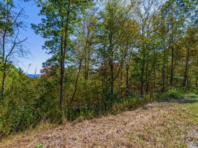Land for sale in Plantsville, Vermont