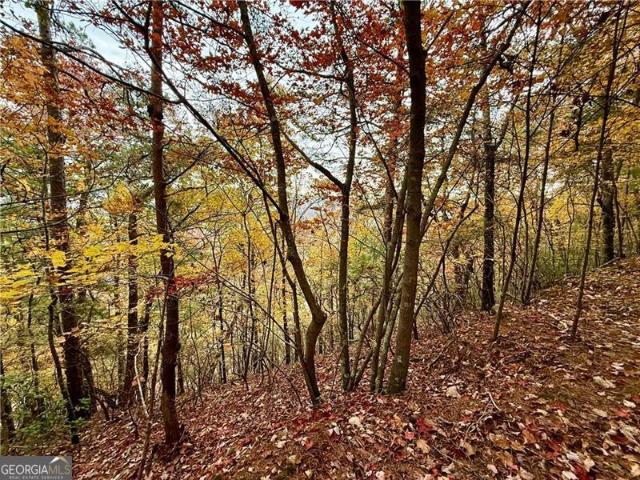 Land for sale in Gordon, Georgia