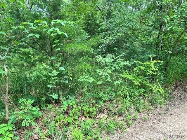 Land for sale in Bismarck, Missouri