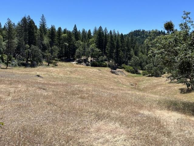 Land for sale in Zenia, California