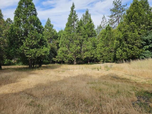 Land for sale in Grants Pass