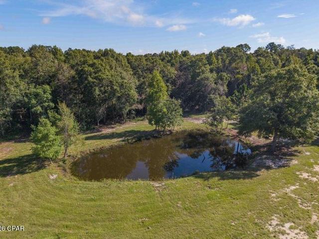 Land for sale in Graceville, Florida