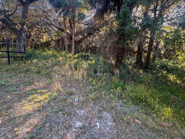 Land for sale in Florida