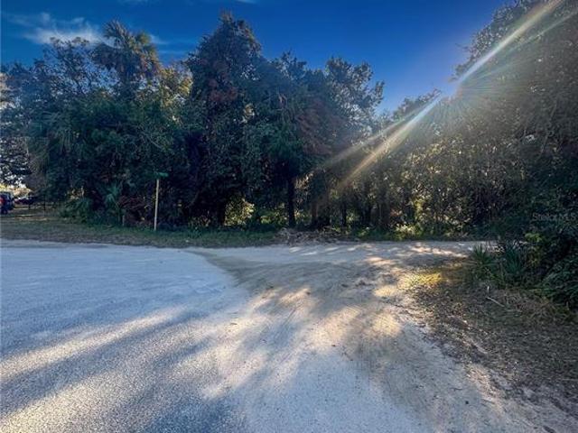Land for sale in Florida