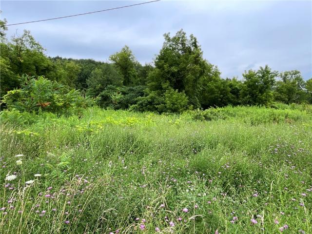 Commercial for sale in Mc Donough, New York