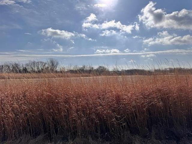 Land for sale in Kieler, Wisconsin