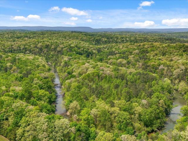 Land for sale in Ringgold, Georgia