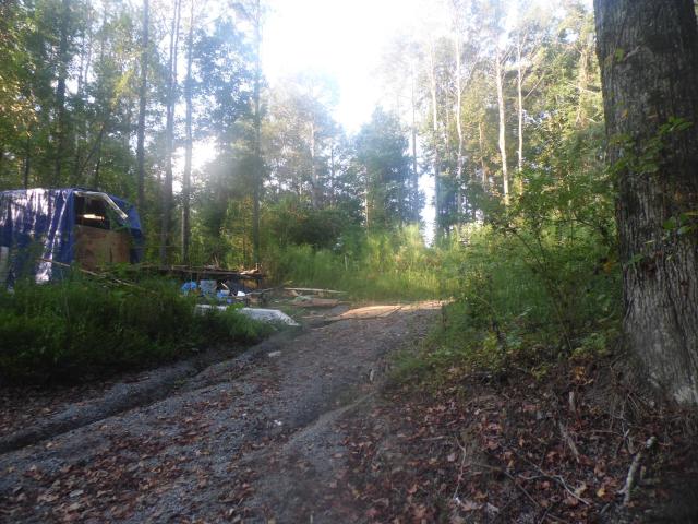 Land for sale in South Vinemont, Cullman County