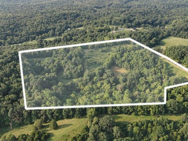 Farm for sale in Sadieville, Scott County