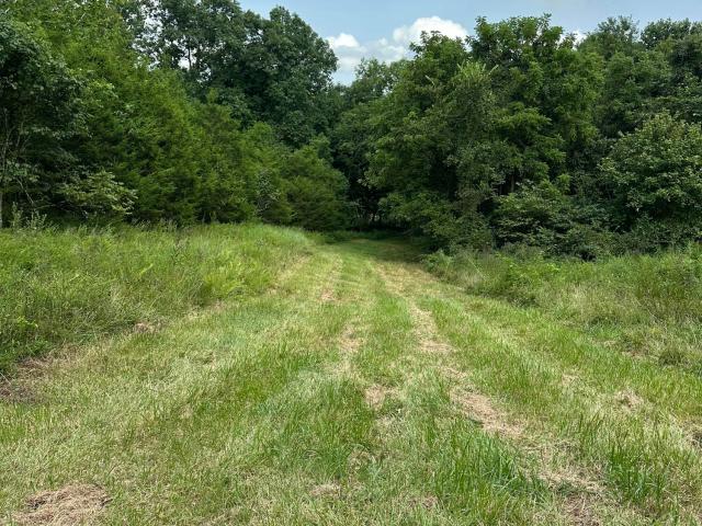 Farm for sale in Sadieville, Scott County
