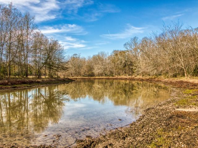 Land for sale in Grimes, Texas
