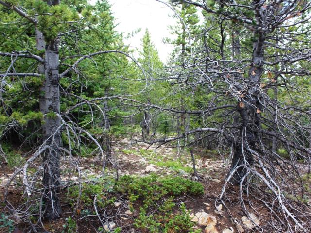 Land for sale in Black Hawk, Colorado