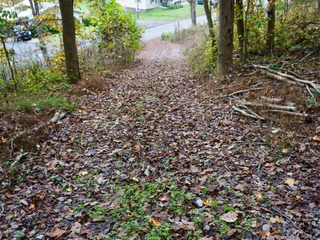 Land for sale in Bethel, Piketon