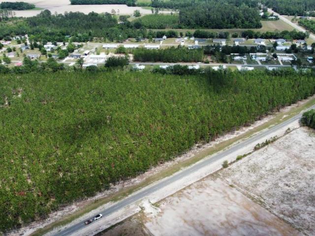 Land for sale in Pierce, Georgia