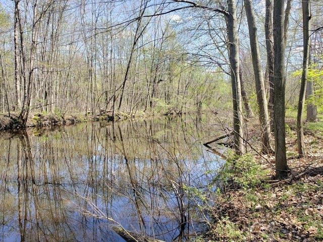Land for sale in Watervliet, Michigan