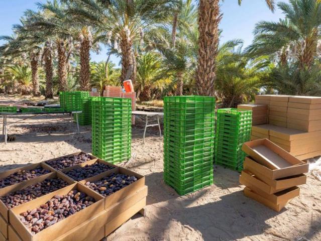 Commercial for sale in Brawley, Imperial County