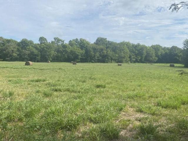 Land for sale in Lamar, Texas