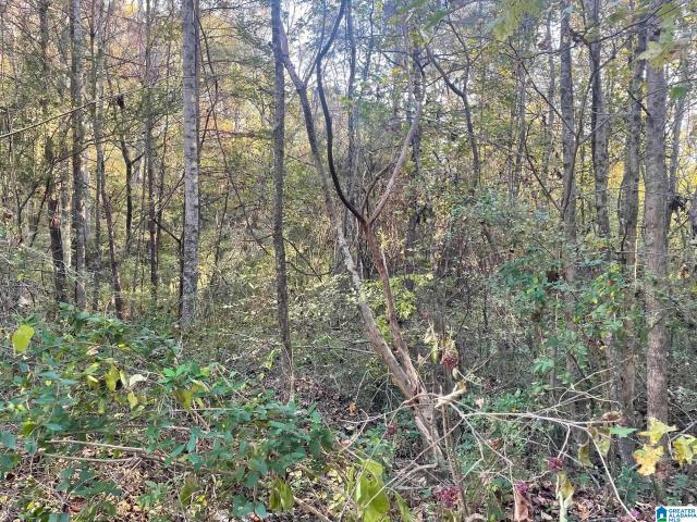 Land for sale in Gardendale, Alabama