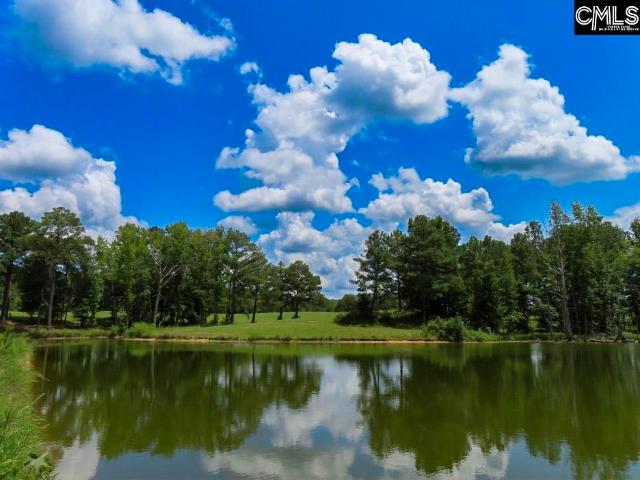Land for sale in Winnsboro, Fairfield County